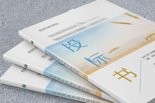 标书制作公司