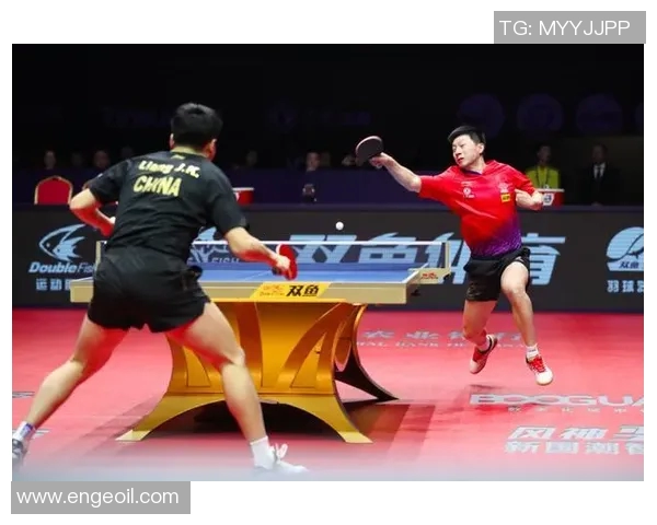 汉达诺维奇：斯洛文尼亚新晋网球传奇，夺得四大满贯大满贯